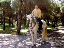 Diamante, «my» beloved Andalusian stallion